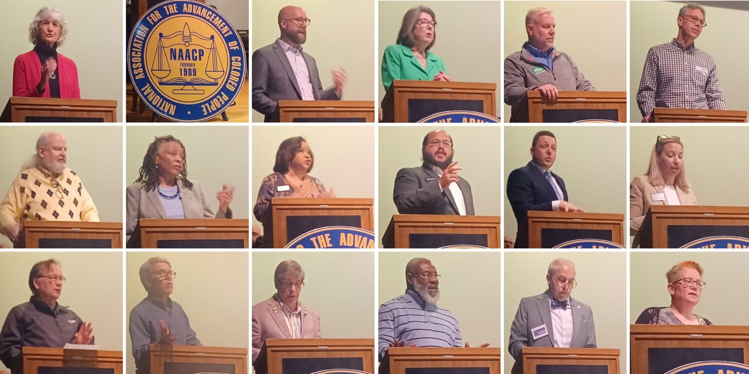 Lansing Charter Revision Commission candidates doubt they can directly